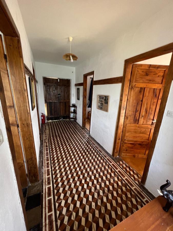 KoukouleikaTilemvi Seaside House Milina Pelion!!!别墅 外观 照片